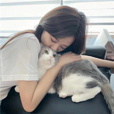 猫眼神探之红莲